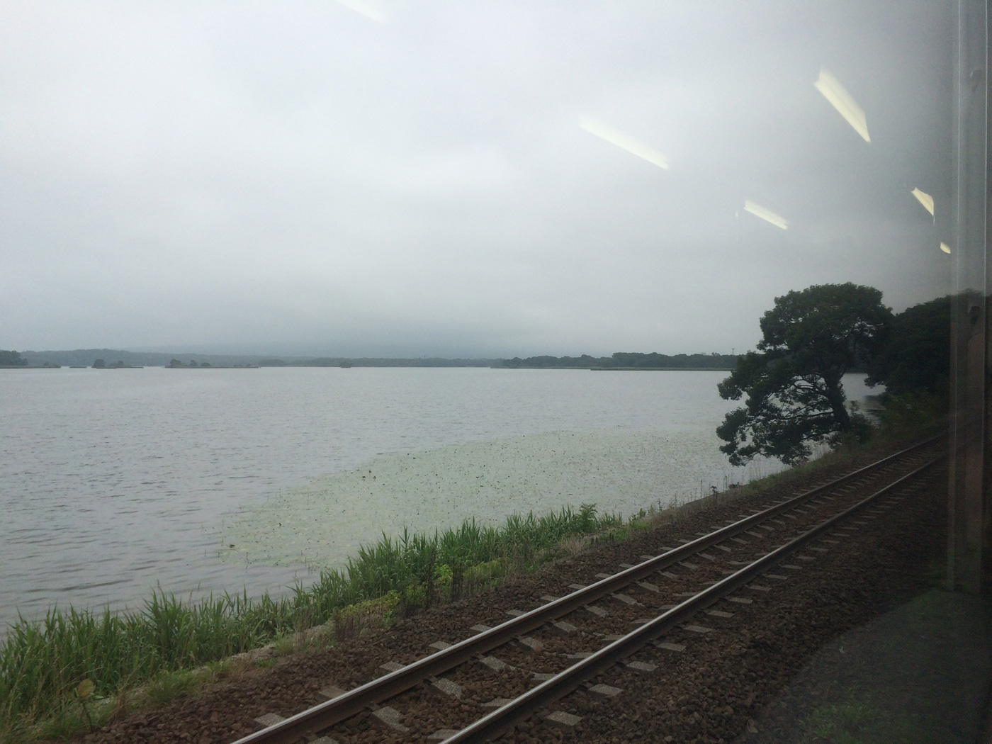 大沼公園 小沼 車窓