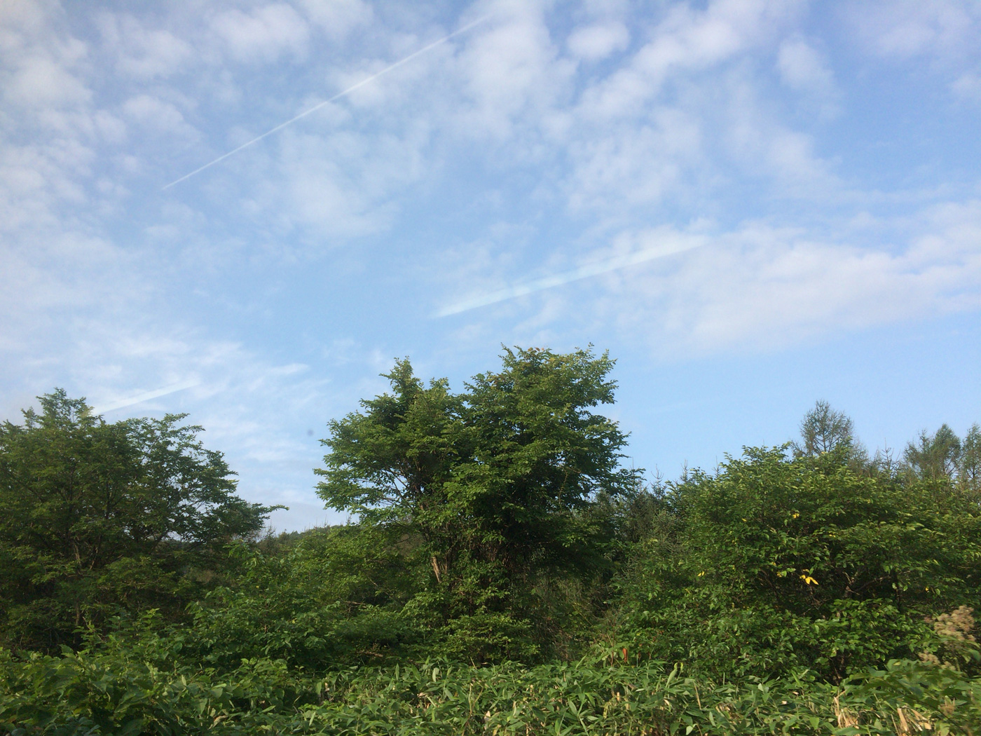 道北の空
