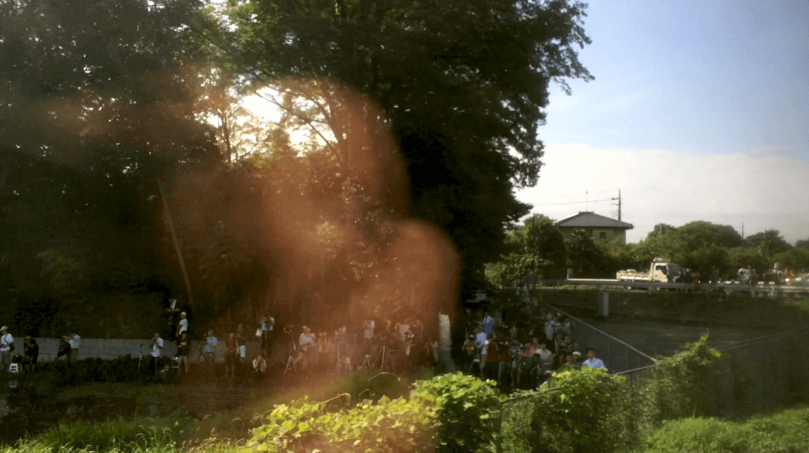 北斗星車内からヒガハス