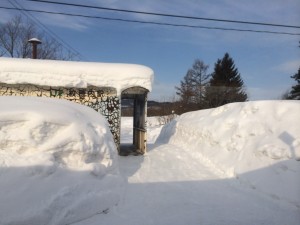 宗谷本線　紋穂内駅