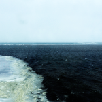 宗谷岬へのバスの車窓