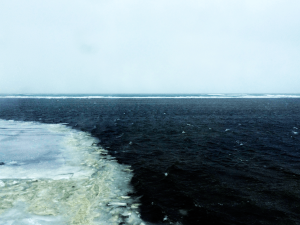 宗谷岬へのバスの車窓