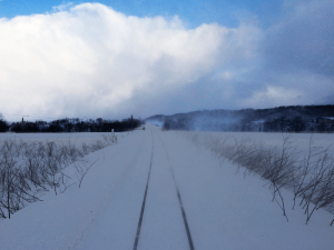 宗谷本線　後ろ車窓
