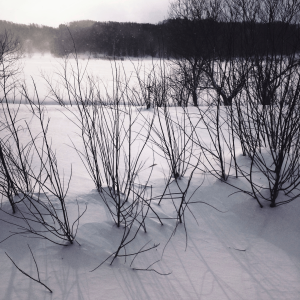 宗谷本線　車窓