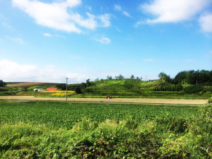 北海道　石北本線車窓
