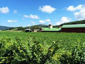 石北本線　車窓