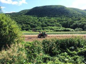 石北本線　生野駅車窓