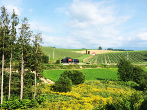 美瑛　赤い屋根の家　ノロッコ車窓