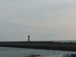 ノシャップ岬から利尻富士