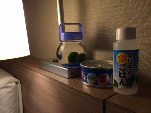 阿寒湖養殖まりも