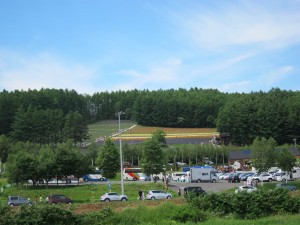 ファーム富田・7月