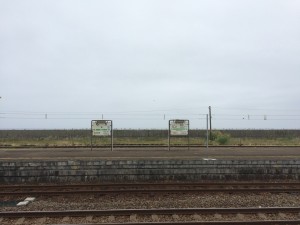 森駅　北斗星6号車の場所