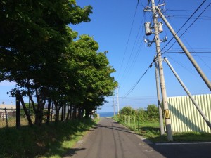 阿分から日本海