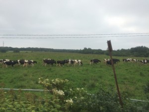 根室本線　車窓