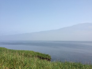 納沙布からの眺め