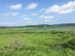 釧路湿原