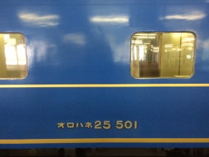 オロハネ25 501