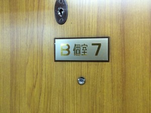 北斗星　オロハネ25 501 ソロ　B個室7