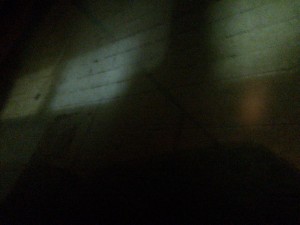 北斗星車内から