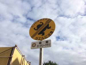 函館　エゾヒキガエル看板