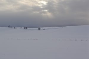 美瑛　名のない丘