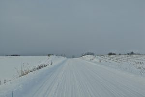 美瑛　雪の道路