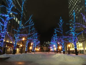 雪景色札幌市内　道庁