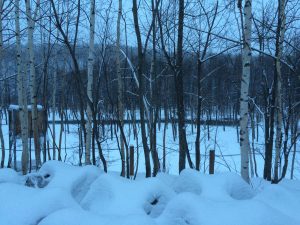 美瑛　雪に埋まる青い池