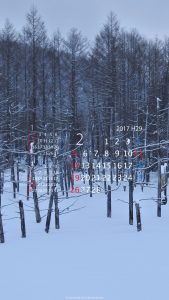 2017/2カレンダー壁紙