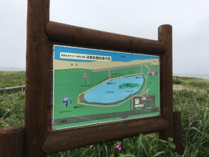 サロベツ浜勇知園地