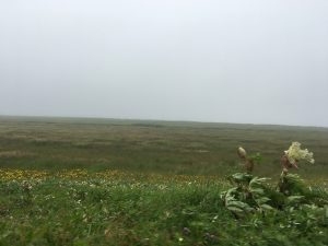 オロロンライン　サロベツ原野