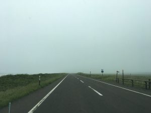 ガスの中のオロロンライン