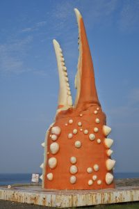 紋別のカニ