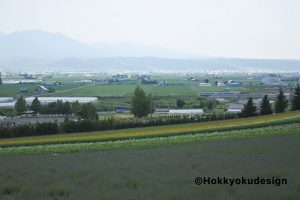 ファーム富田から富良野線展望