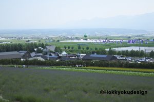 ファーム富田からラベンダー畑駅
