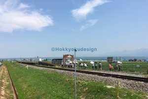 ラベンダー畑駅