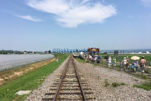 ラベンダー畑駅