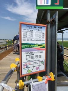 ラベンダー畑の時刻表