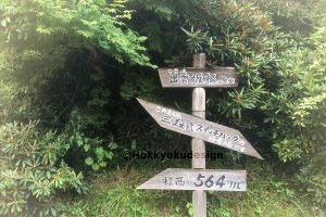 出雲坂根　三段スイッチバックの木看板