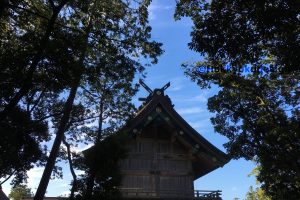 出雲大社　御本殿