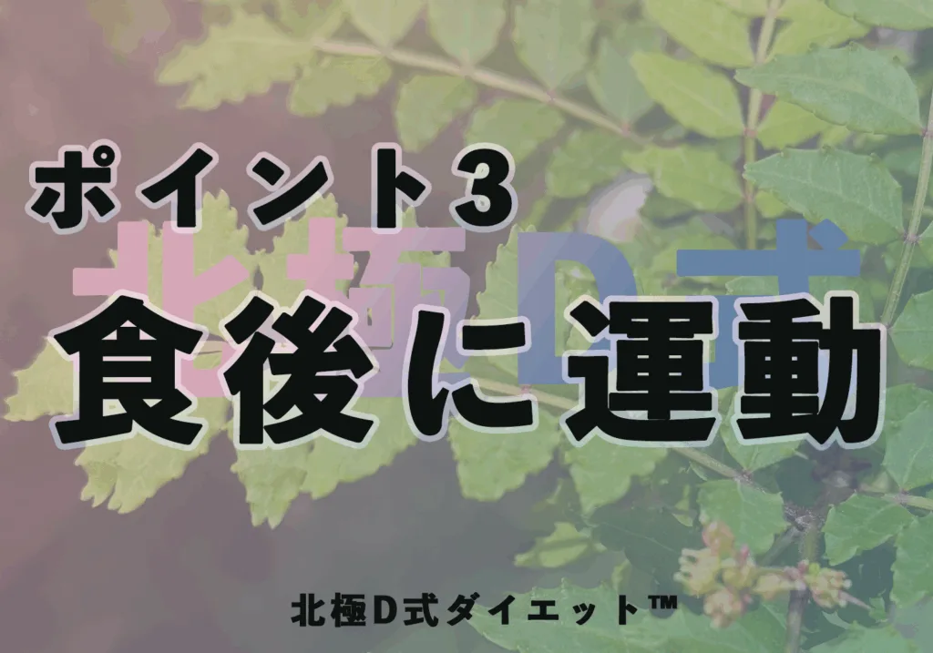 絶対にやせる 北極D式中年ダイエット