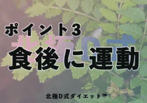絶対にやせる　北極D式中年ダイエット